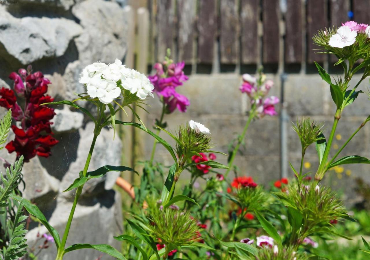 Ty Clyd Villa Cross Inn Buitenkant foto